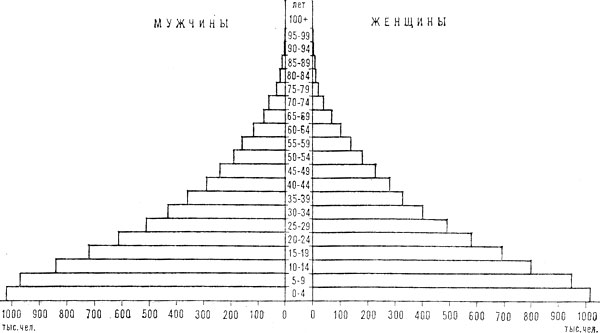 Возрастно-половая пирамида населения Афганистана. 1980