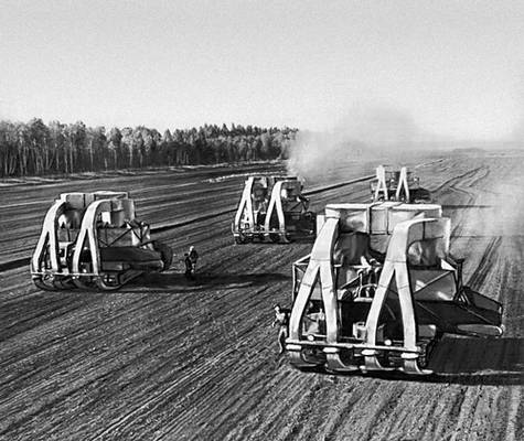 Белорусская ССР. Уборка торфа в Быховском районе Могилёвской области.