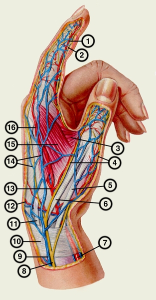 Рис. 5. <a href=