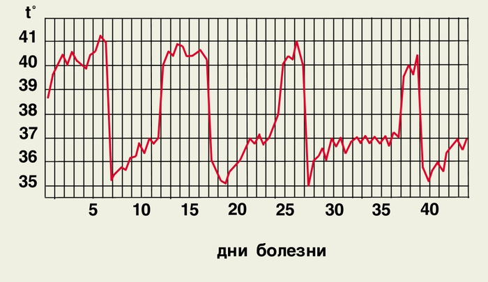 Рис. 2. Температурная кривая при эпидемическом возвратном тифе (нелеченый больной)