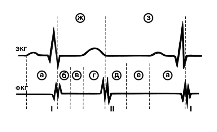 Рис. 2. Схематическое изображение электрокардиограммы (<a href=