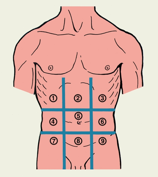 Рис. 1. Области передней брюшной стенки: 1 — правая подреберная; 2 — надчревная; 3 — левая подреберная; 4 — правая боковая; 5 — пупочная; 6 — левая боковая; 7 — правая паховая; 8 — лобковая; 9 — левая паховая