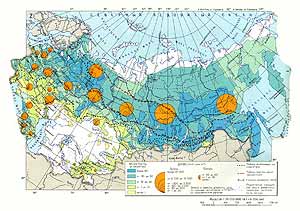 Лесные ресурсы СССР 